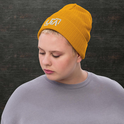 Ribbed knit beanie